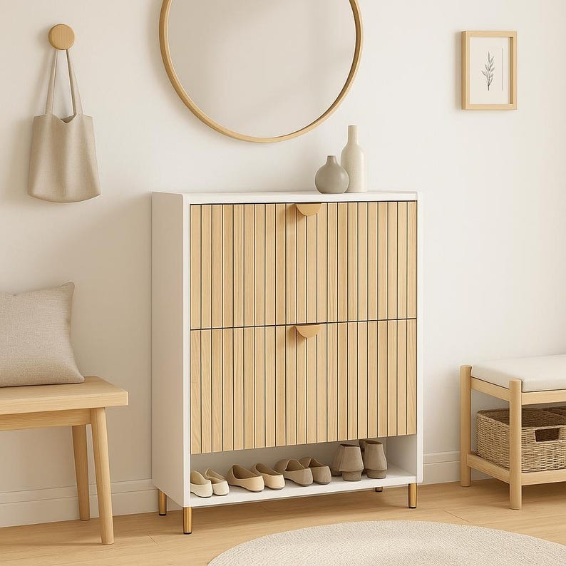 Modern Shoe Storage Cabinet