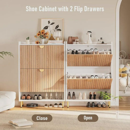 Modern Shoe Storage Cabinet